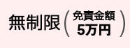 無制限(免責金額5万円)
